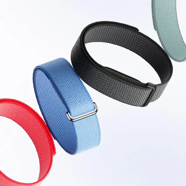 Fitbit Air Google