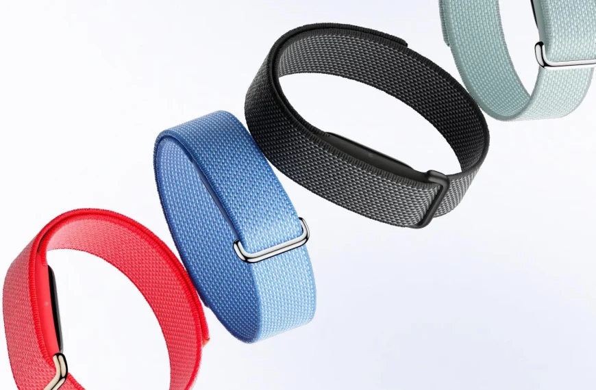 Fitbit Air Google